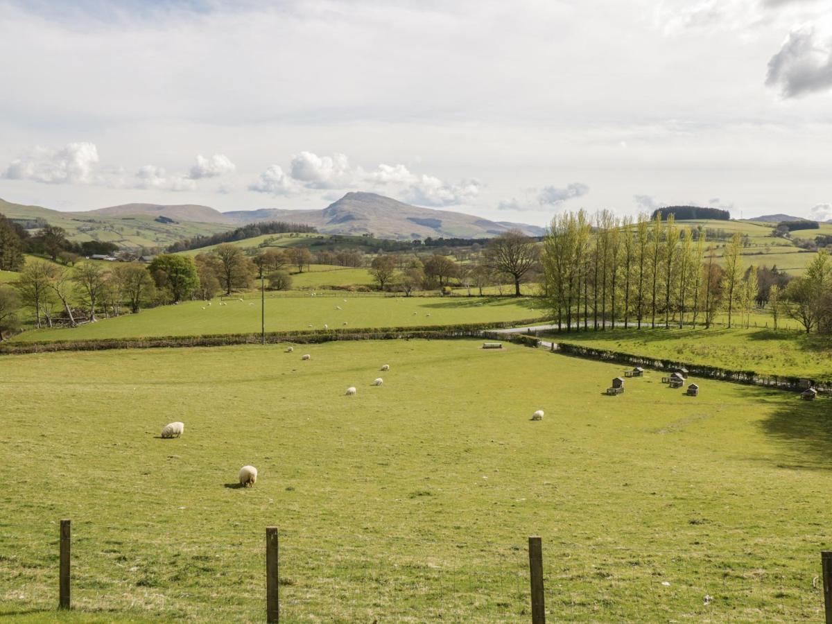 Holiday home Cyffdy - Tegid